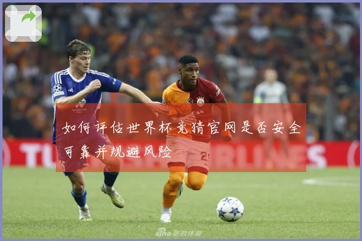 如何评估世界杯竞猜官网是否安全可靠并规避风险