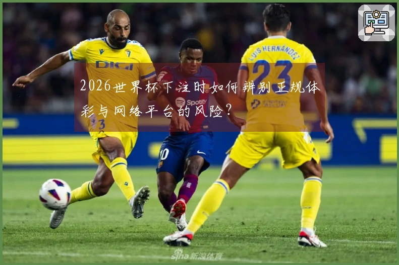 2026世界杯下注时如何辨别正规体彩与网络平台的风险？