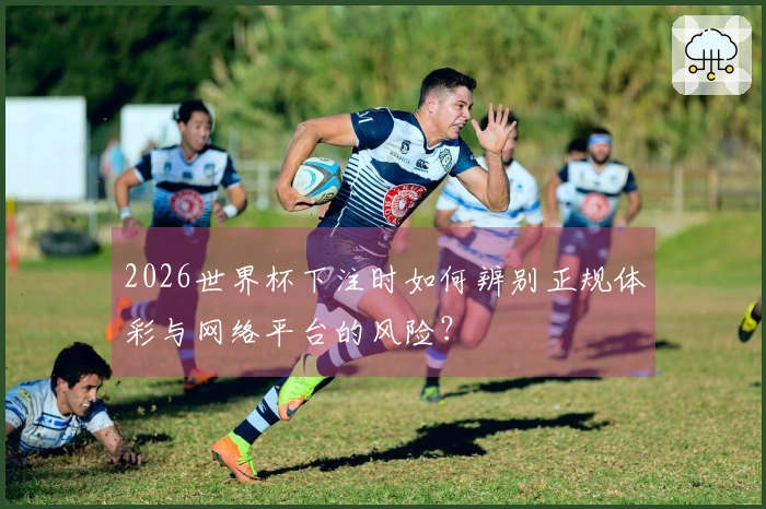 2026世界杯下注时如何辨别正规体彩与网络平台的风险？
