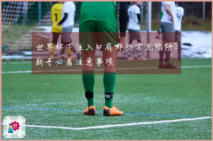 世界杯下注入口有哪些常见陷阱？新手必看注意事项