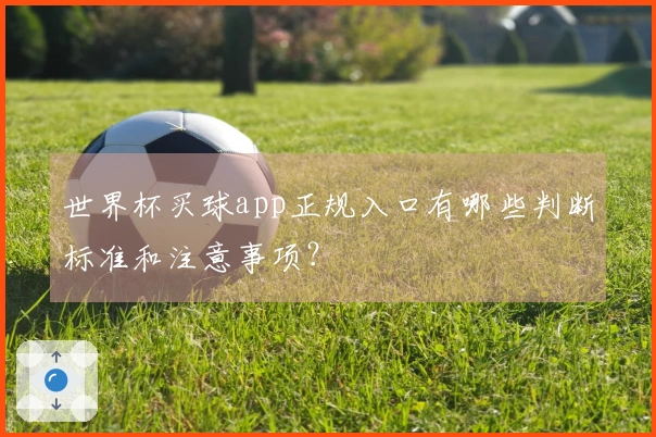 世界杯买球app正规入口有哪些判断标准和注意事项？
