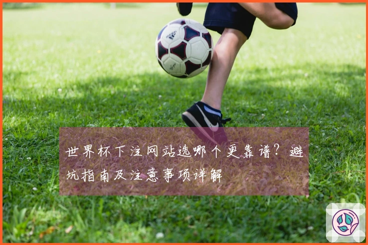 世界杯下注网站选哪个更靠谱？避坑指南及注意事项详解