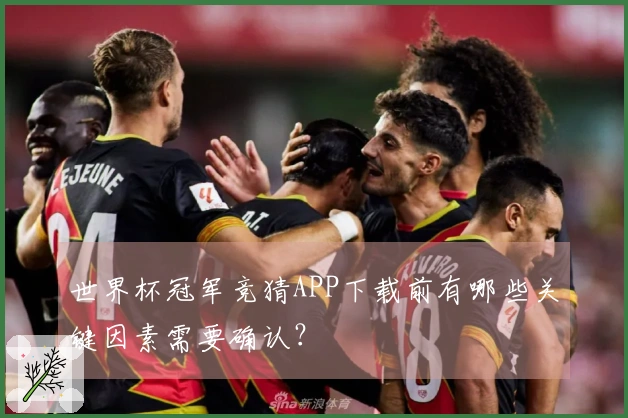 世界杯冠军竞猜APP下载前有哪些关键因素需要确认？